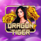Dragon Tiger live casino image